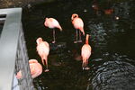 DSC_9168.JPG